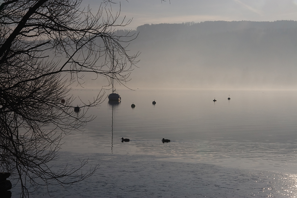 Greifensee 2.jpg